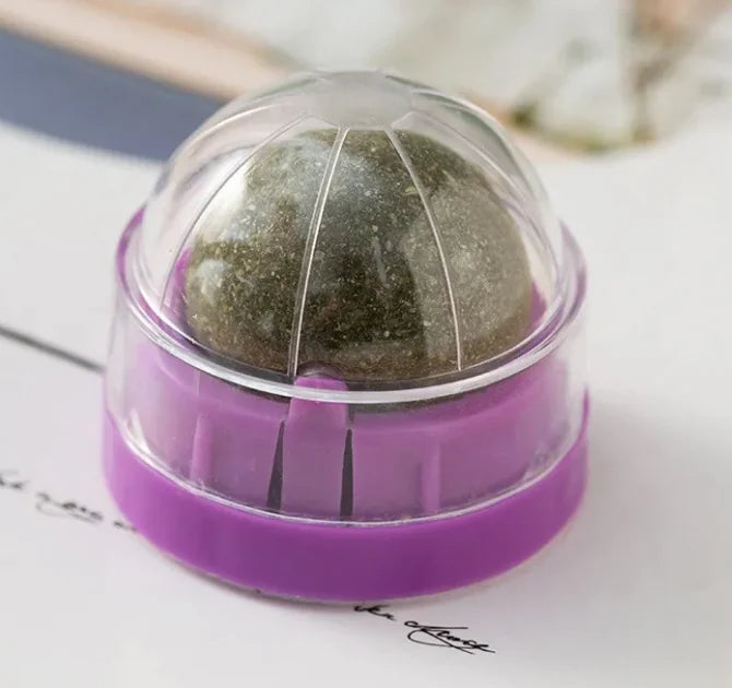 Juguete para gatos con hierba gatera en forma de bola