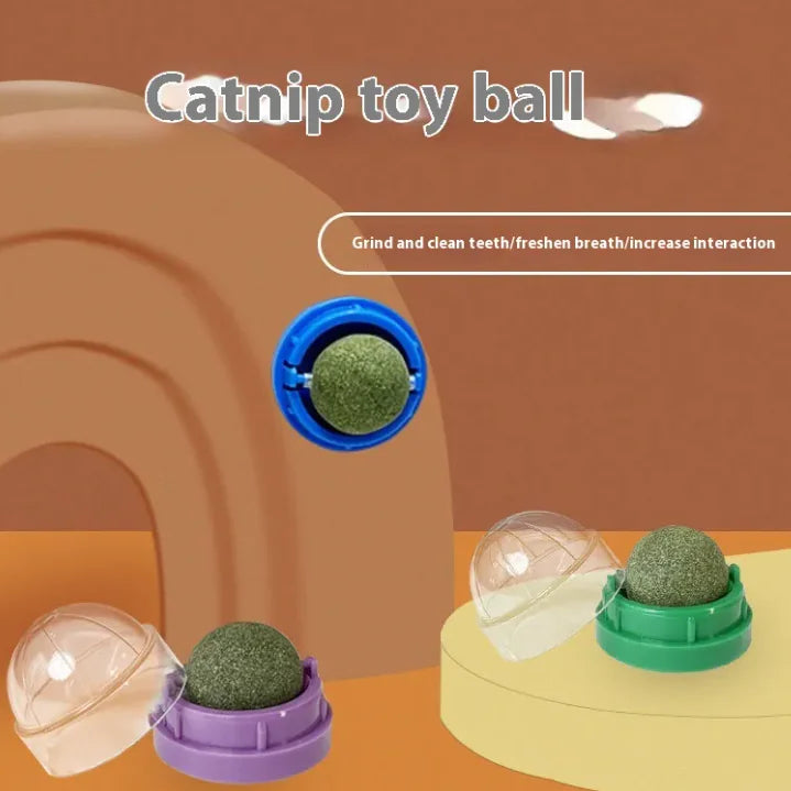 Juguete para gatos con hierba gatera en forma de bola